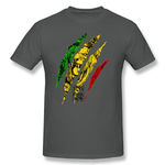 t-shirt griffe de Lion vert jaune rouge